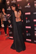 Mugdha Godse at Screen Awards red carpet in Mumbai on 12th Jan 2013 (379).JPG